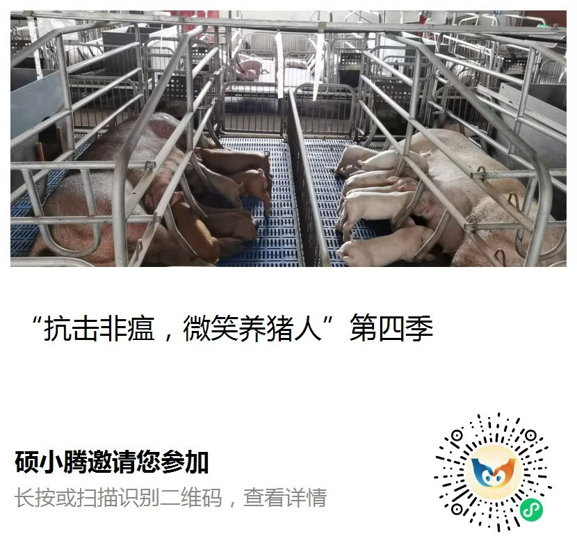 from clipboard from clipboard