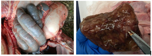 from clipboard from clipboard