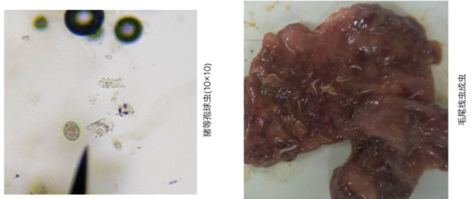 from clipboard from clipboard