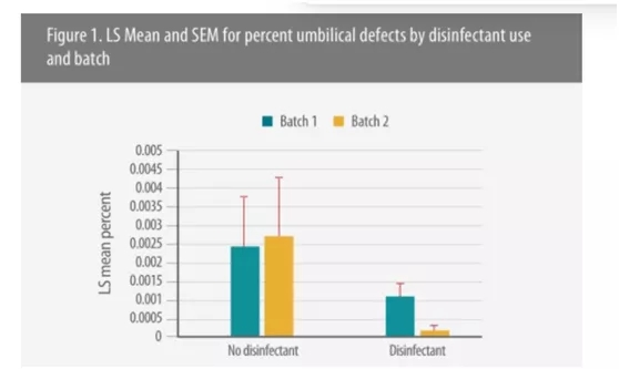 from clipboard from clipboard