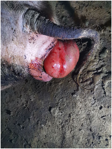 from clipboard from clipboard