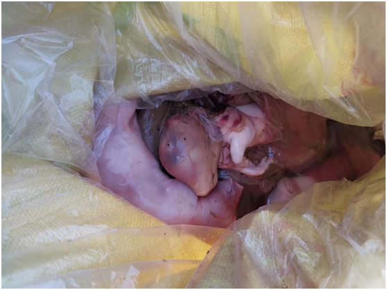 from clipboard from clipboard