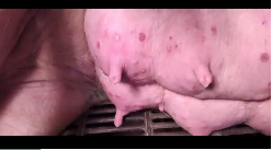 from clipboard from clipboard