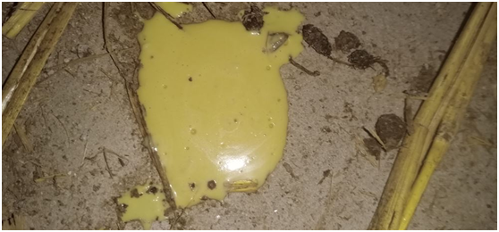 from clipboard from clipboard