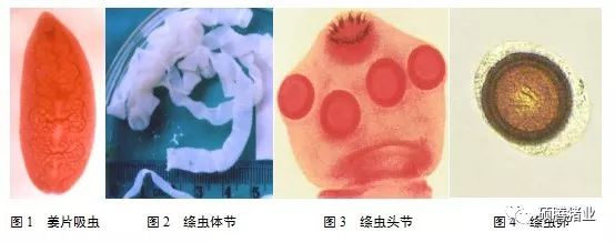 from clipboard from clipboard