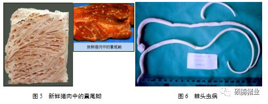 from clipboard from clipboard