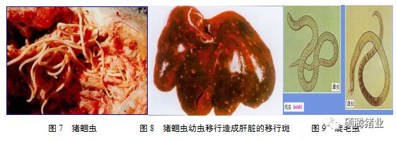 from clipboard from clipboard