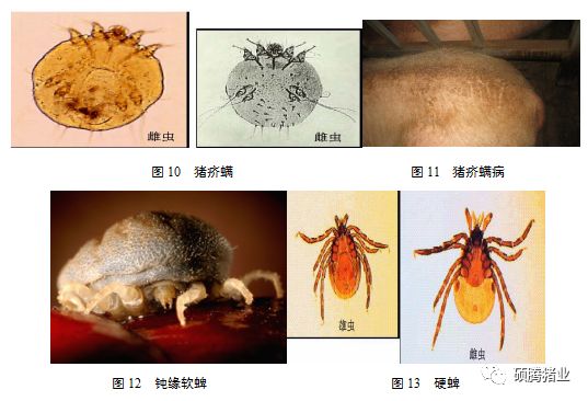 from clipboard from clipboard