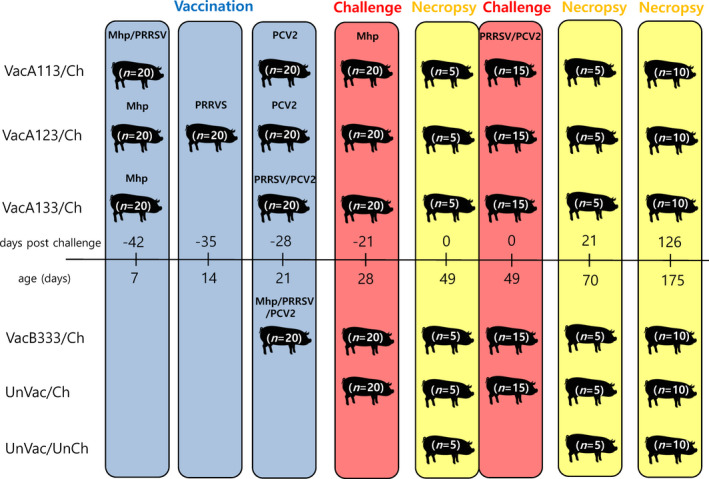 from clipboard from clipboard