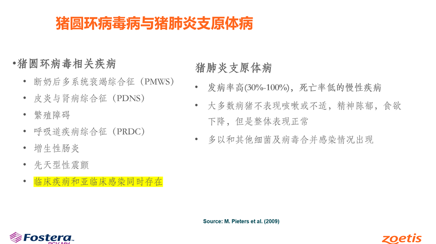 from clipboard from clipboard