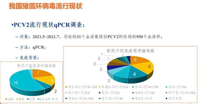 from clipboard from clipboard