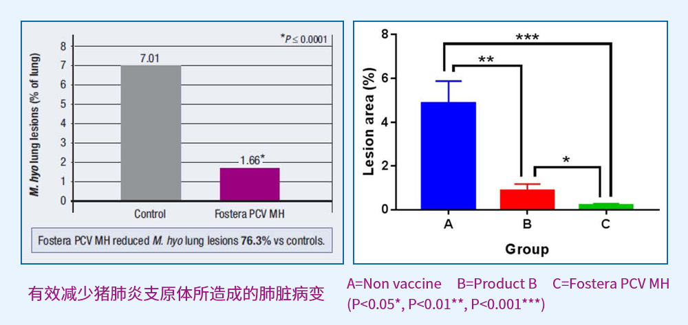 from clipboard from clipboard