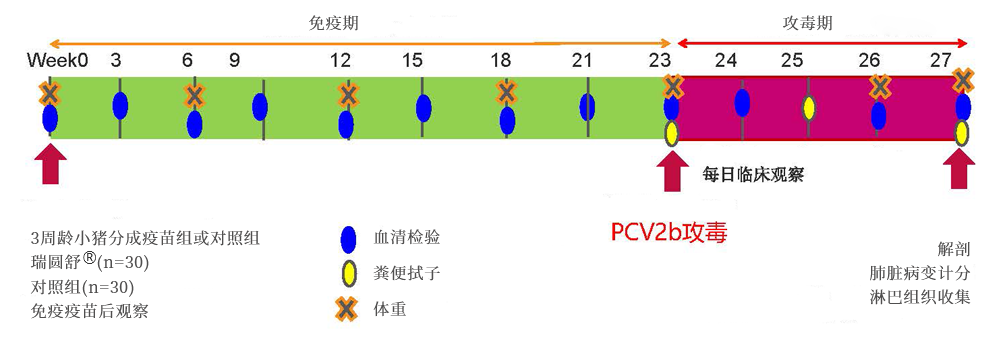 from clipboard from clipboard