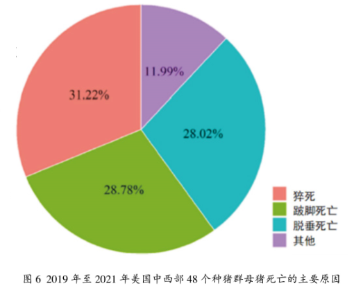 from clipboard from clipboard