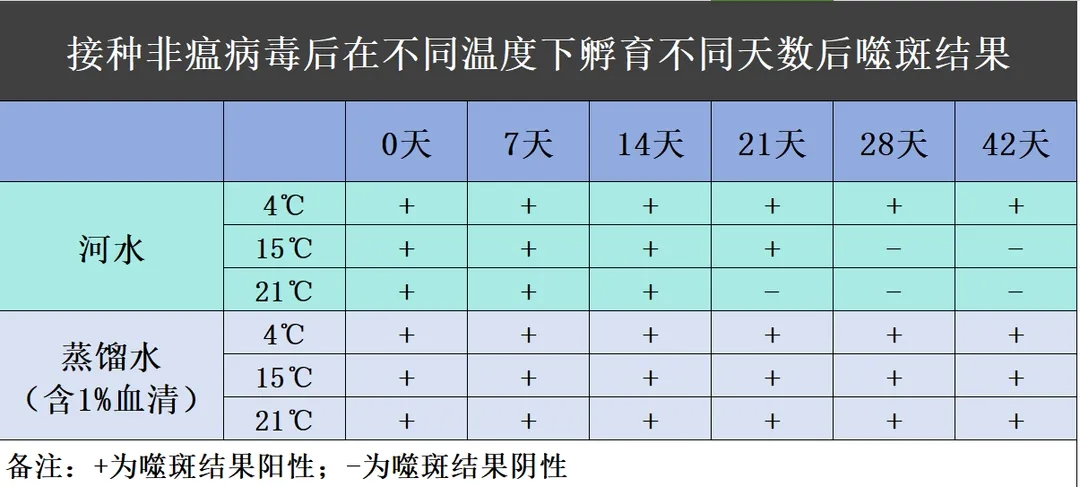 from clipboard from clipboard