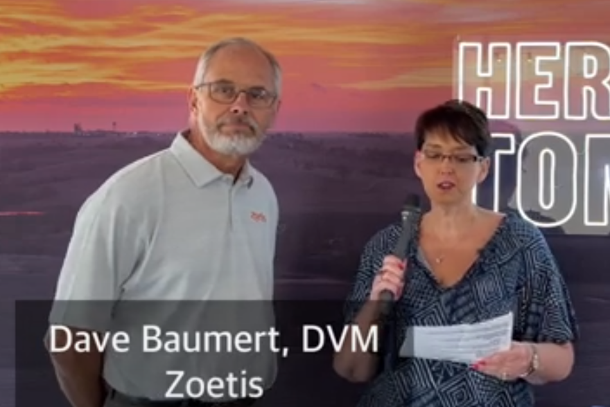 from clipboard from clipboard