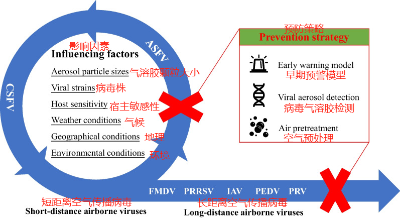 from clipboard from clipboard