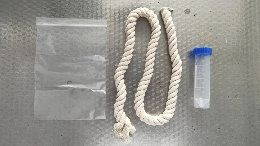 from clipboard from clipboard