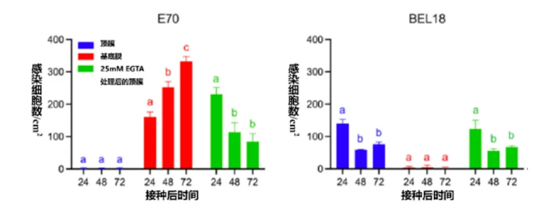 from clipboard from clipboard