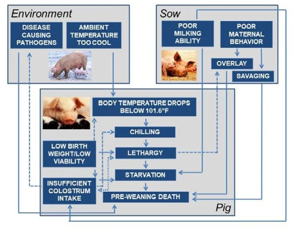 from clipboard from clipboard