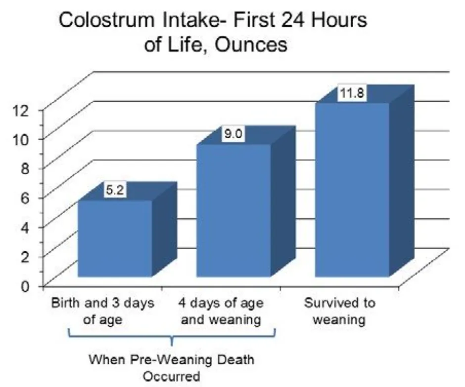 from clipboard from clipboard