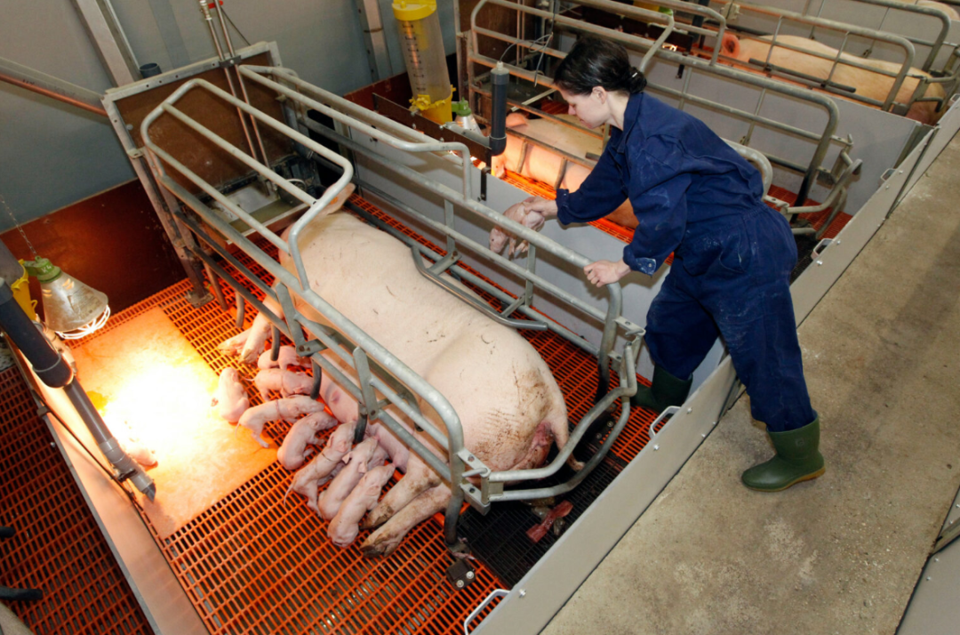 from clipboard from clipboard