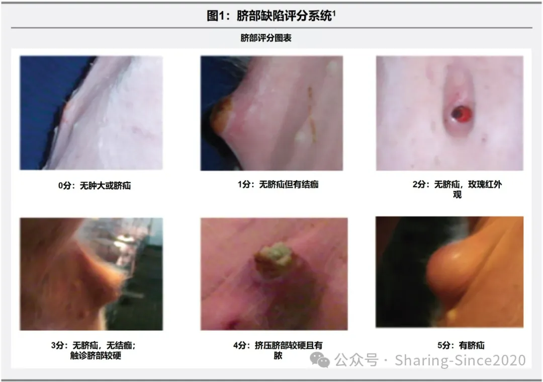 from clipboard from clipboard