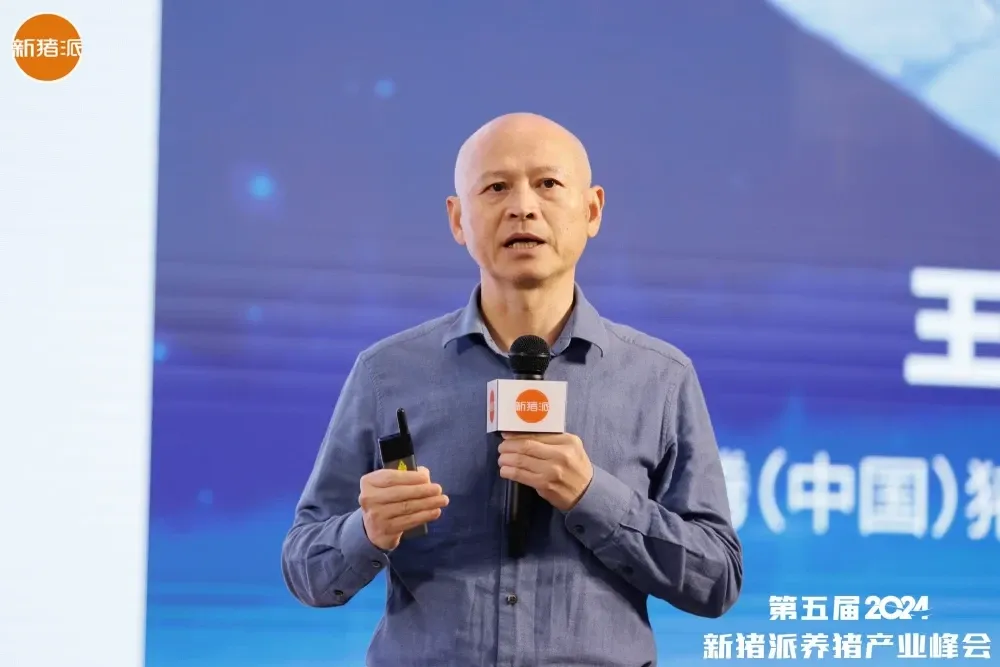 from clipboard from clipboard