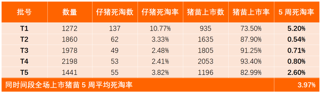 from clipboard from clipboard