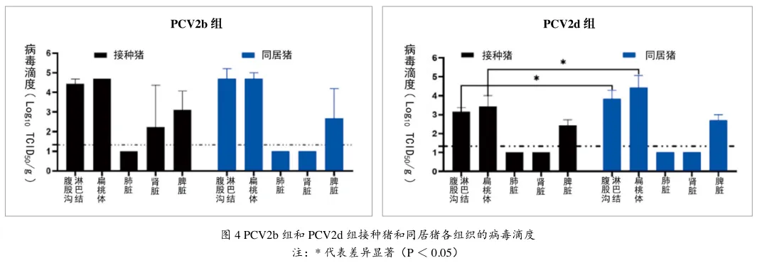 from clipboard from clipboard
