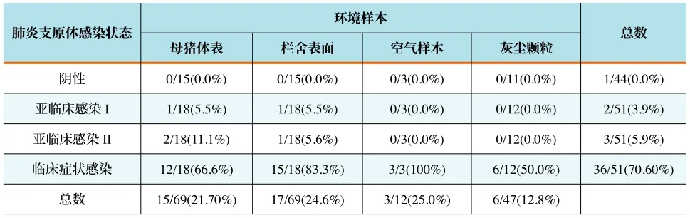 from clipboard from clipboard