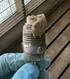 from clipboard from clipboard