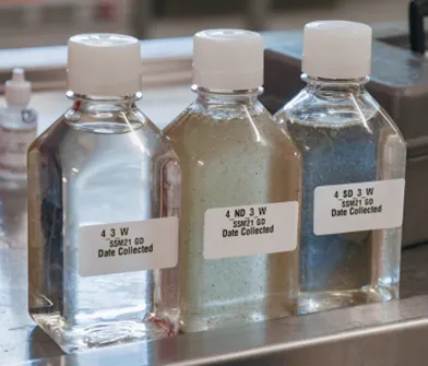 from clipboard from clipboard