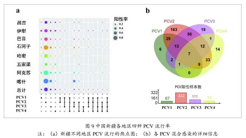 from clipboard from clipboard