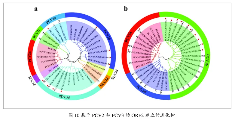 from clipboard from clipboard