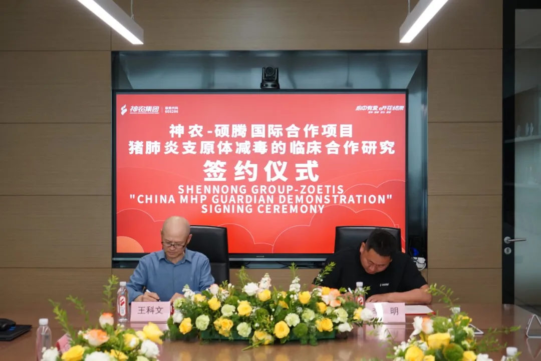 from clipboard from clipboard